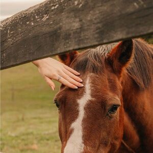 Meet your Posher, Kendal